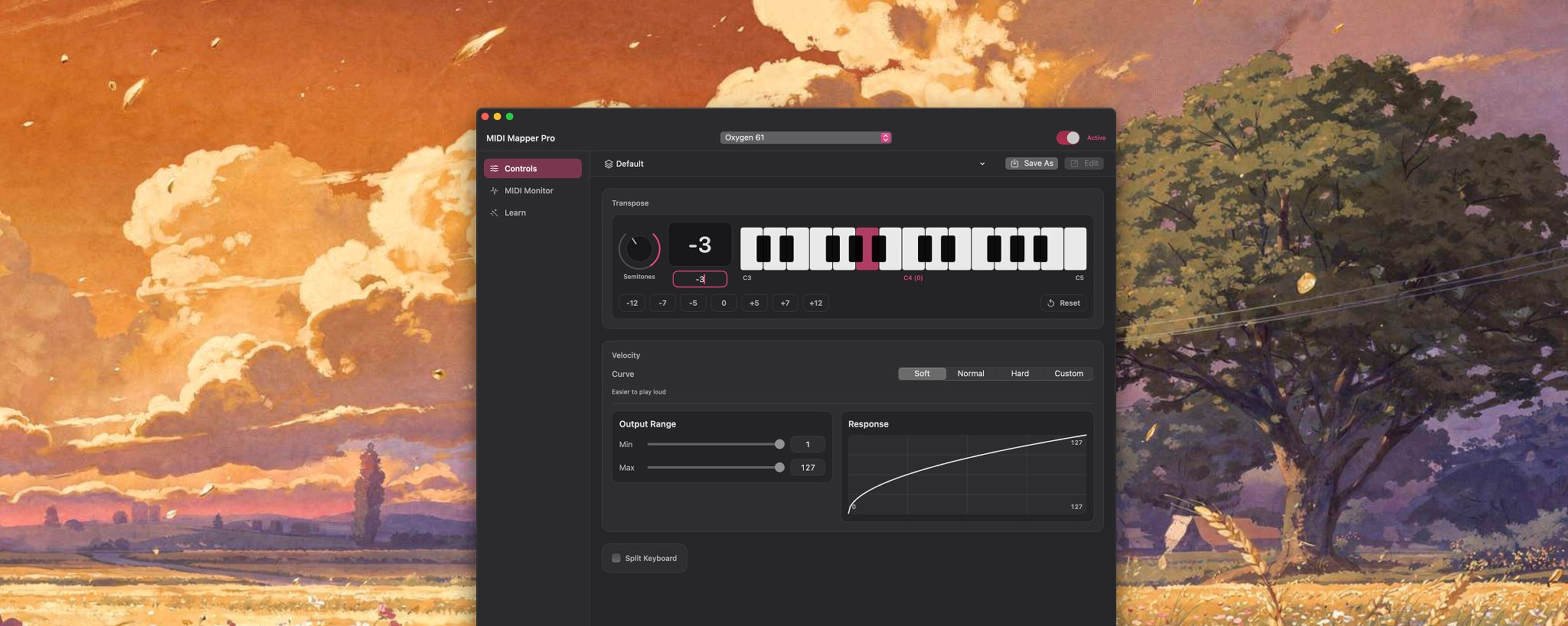 MIDI Mapper Pro — Controls view